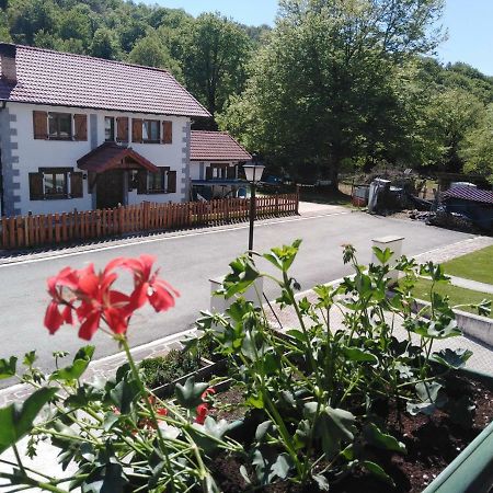 Casa Rural Irugoienea Espinal-Auzperri Eksteriør bilde