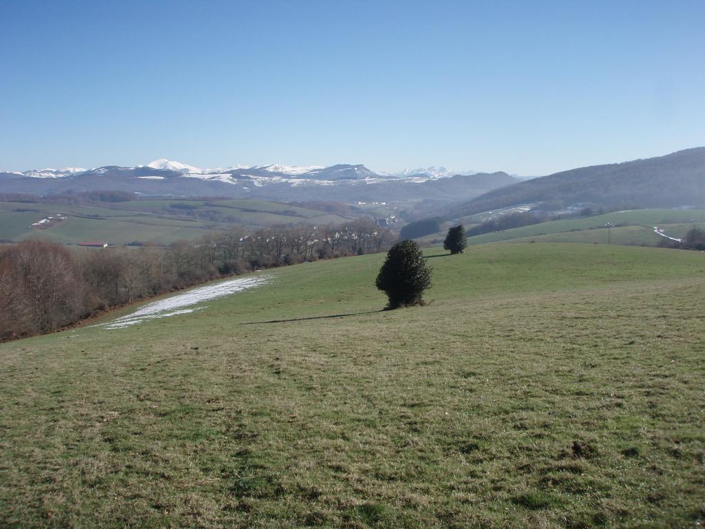 Casa Rural Irugoienea Espinal-Auzperri Eksteriør bilde